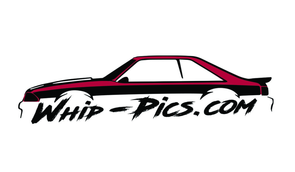 frontBusiness_Card whip pics